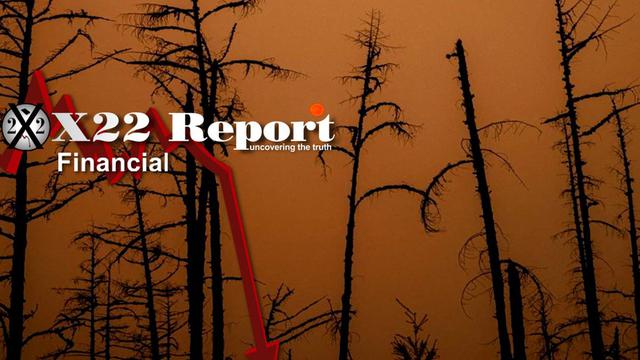 X 22 report Ep. 2692a - See What’s Happening With The Economy, Panic Off The Charts